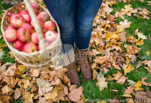 Image of woman with basket of apples at autumn garden