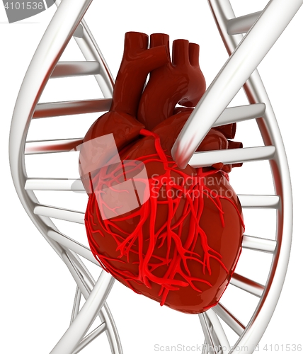 Image of DNA and heart. 3d illustration
