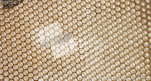 Image of honey texture