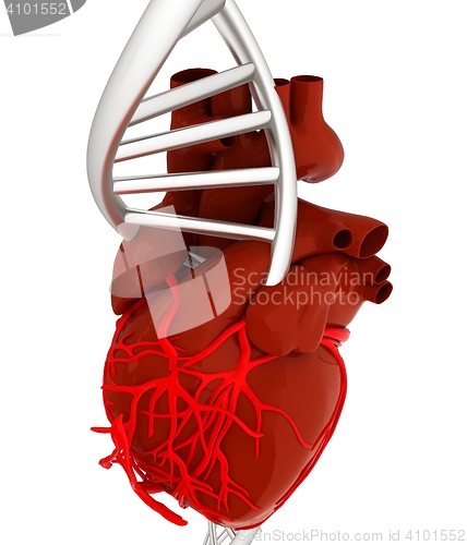 Image of DNA and heart. 3d illustration