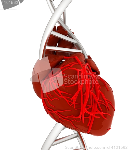 Image of DNA and heart. 3d illustration