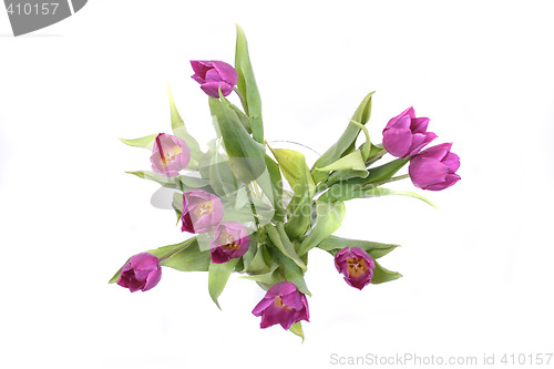 Image of flowers