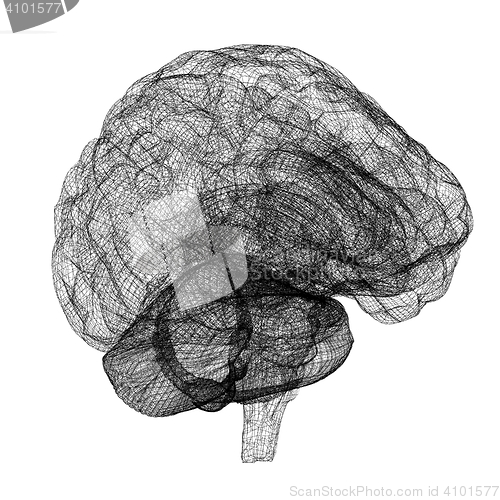 Image of Creative concept of the human brain