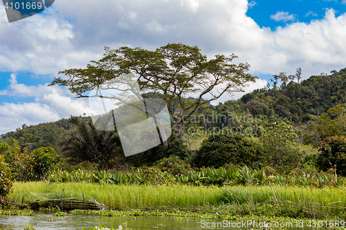 Image of Madagascar river landscape