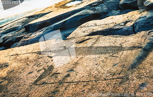 Image of Otter and Swan - Symbols Of Onega Petroglyphs On The Cape Besov 