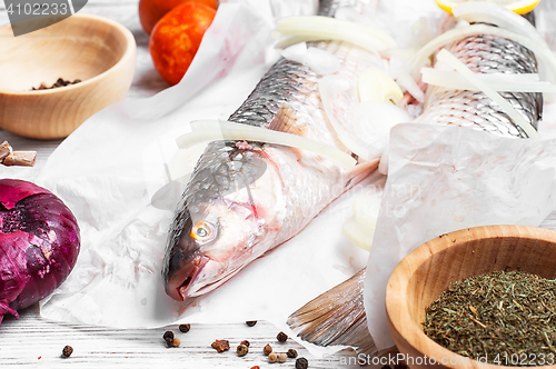 Image of Fresh fish in the kitchen