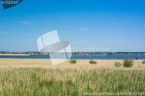 Image of Coast landscape with grass by the water