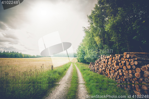 Image of Wooden logs by a roadside