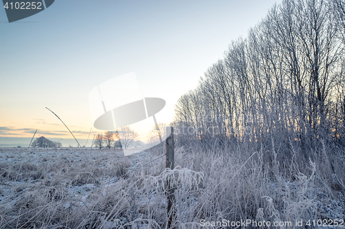 Image of Fence post on a frosty field