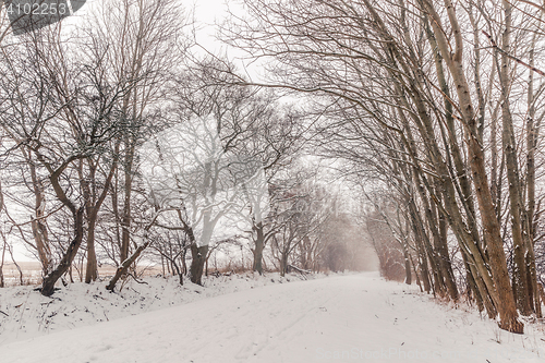 Image of Nature path covered with snow