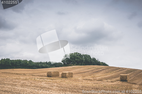 Image of Countryside landscape with hay bales on a harvested field