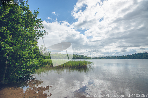 Image of Idyllic lake with green trees