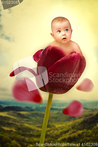 Image of Th baby on red tulip collage