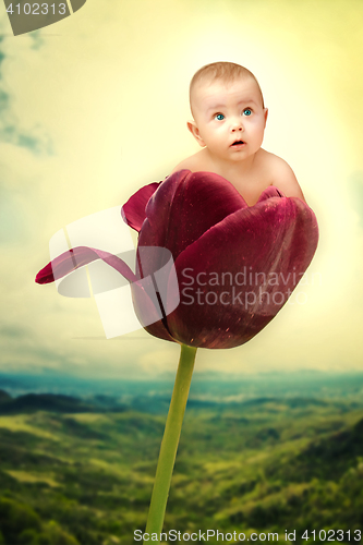 Image of Th baby on red tulip collage