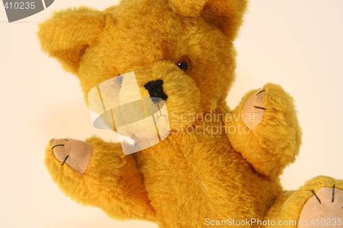 Image of Teddy