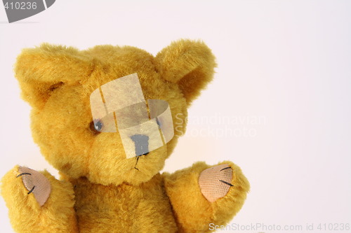 Image of Teddy