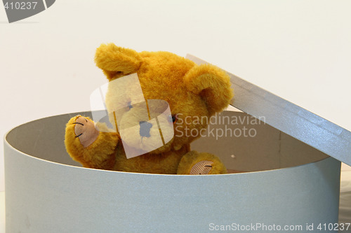 Image of Teddy bear in a box