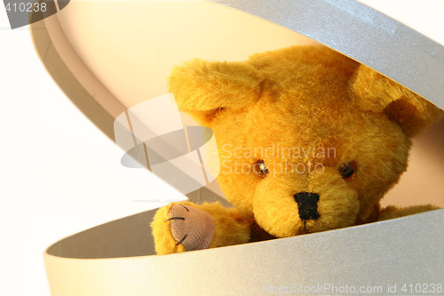 Image of Teddy in a box