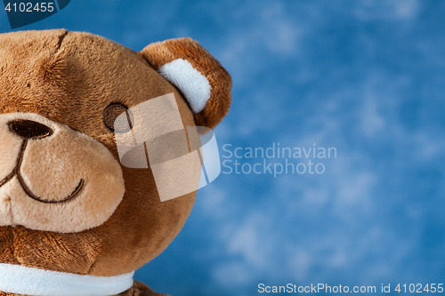 Image of Lovely Teddy Bear