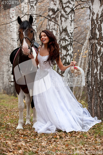 Image of Young Woman And Horse