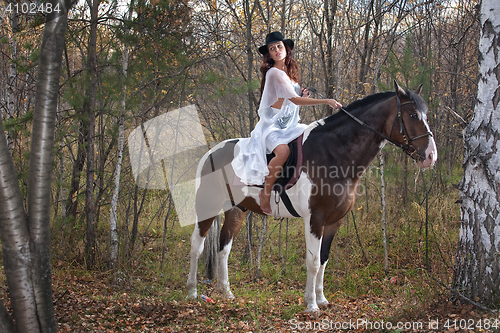 Image of Young Woman And Horse