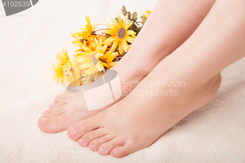 Image of care for beautiful woman legs