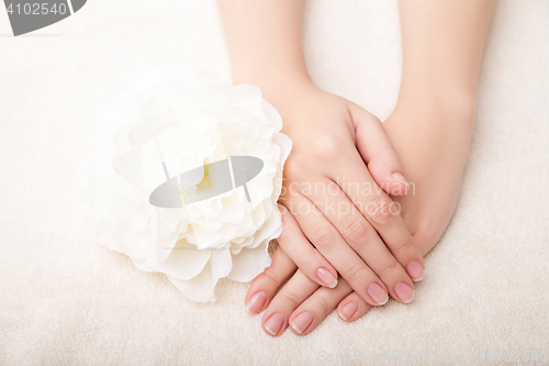 Image of Beautiful woman hands and  flower over white background