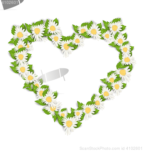 Image of Camomile Flowers in Form Heart Isolated on White Background