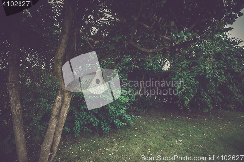 Image of Birdhouse hanging in a tree