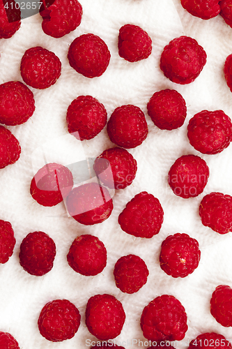 Image of Red ripe raspberries