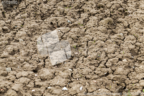 Image of plowed agricultural field