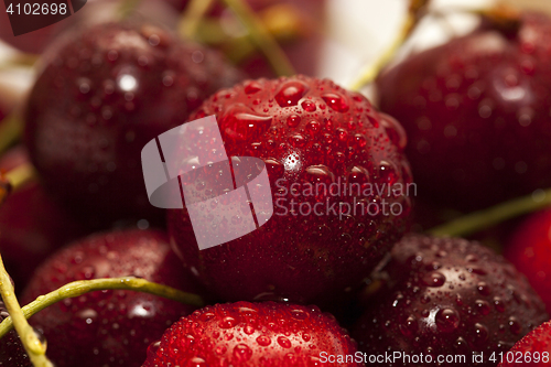 Image of red ripe cherry