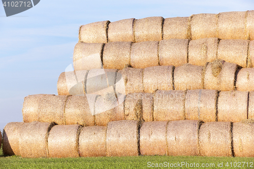 Image of stack of straw in the field