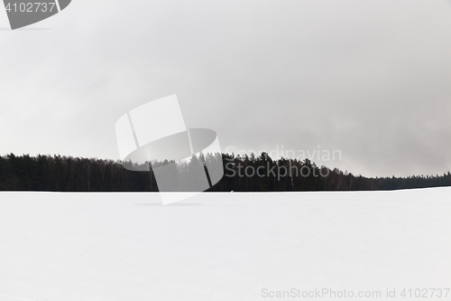 Image of fog in winter