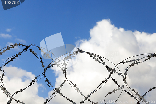 Image of old barbed wire