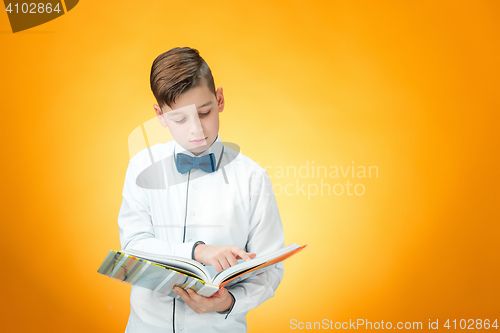 Image of The boy with book