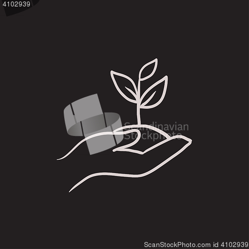 Image of Hands holding seedling in soil sketch icon.