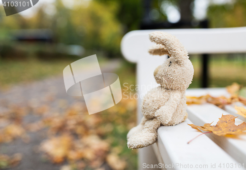 Image of toy rabbit on bench in autumn park