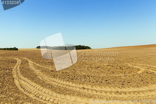 Image of Wheel tracks on the field