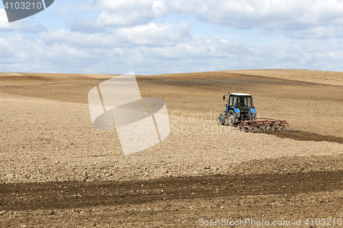 Image of agricultural field with cereal