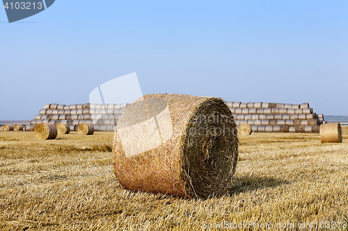 Image of stack of straw in the field