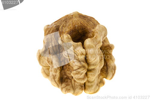 Image of walnut isolated on white