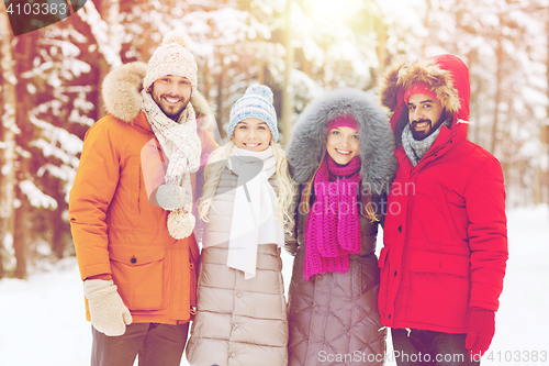 Image of group of smiling men and women in winter forest