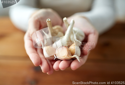 Image of woman hands holding garlic