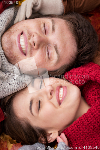 Image of close up of happy couple lying on autumn leaves