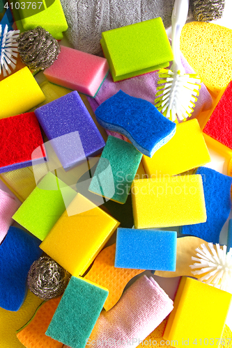 Image of Colorful sponges