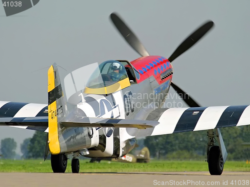 Image of Mustang taxi