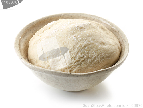 Image of fresh raw dough