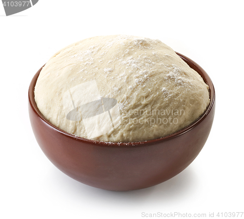 Image of bowl of fresh raw dough