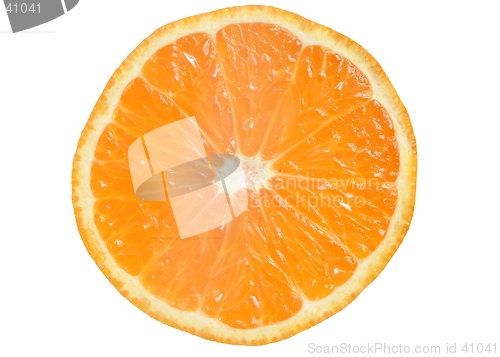 Image of Mandarin